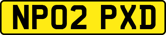 NP02PXD