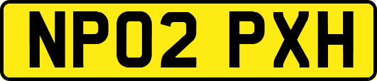 NP02PXH
