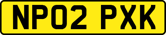 NP02PXK