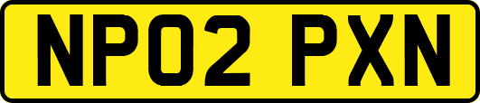 NP02PXN