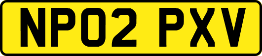 NP02PXV