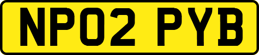 NP02PYB