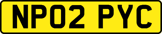NP02PYC