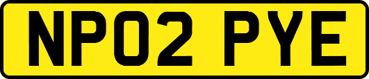NP02PYE