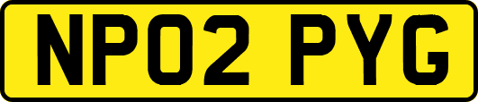 NP02PYG
