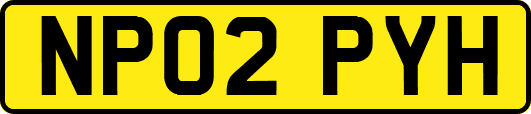 NP02PYH