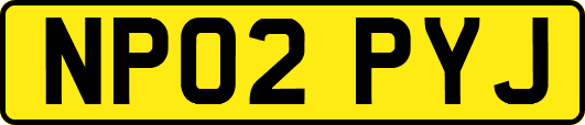 NP02PYJ