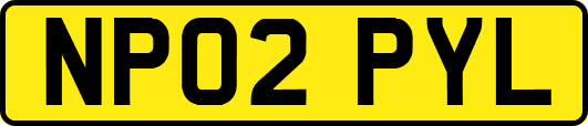NP02PYL