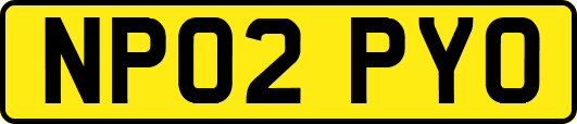 NP02PYO