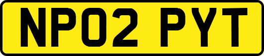 NP02PYT