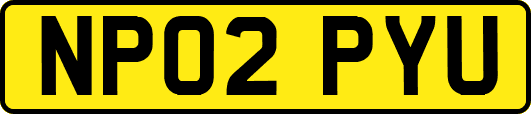 NP02PYU