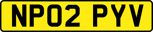 NP02PYV