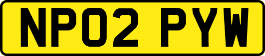 NP02PYW