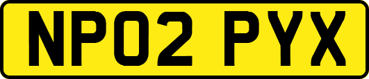 NP02PYX
