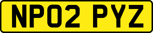 NP02PYZ