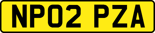 NP02PZA