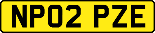 NP02PZE