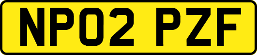 NP02PZF