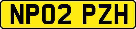 NP02PZH