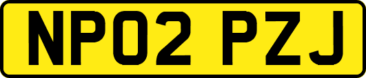 NP02PZJ
