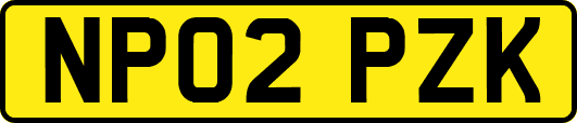 NP02PZK