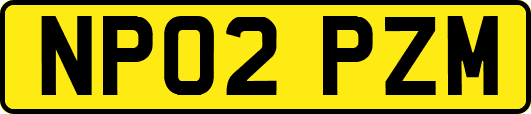 NP02PZM
