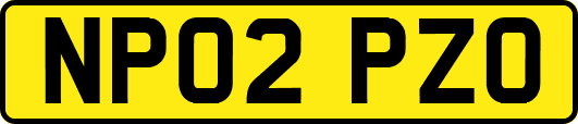 NP02PZO