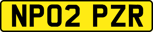 NP02PZR