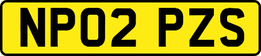 NP02PZS