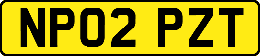 NP02PZT