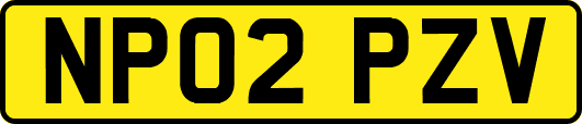 NP02PZV