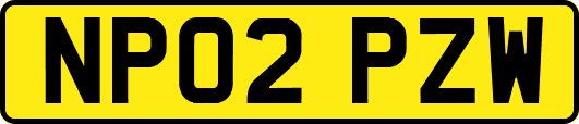 NP02PZW