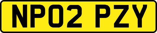 NP02PZY