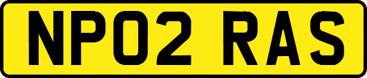 NP02RAS