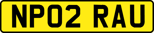 NP02RAU
