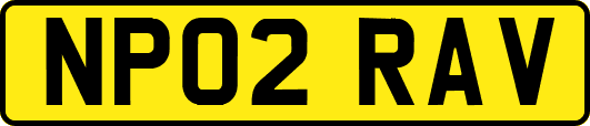 NP02RAV