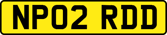 NP02RDD