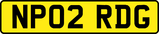 NP02RDG