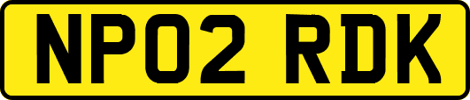 NP02RDK