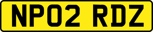 NP02RDZ