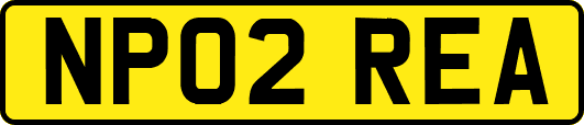 NP02REA