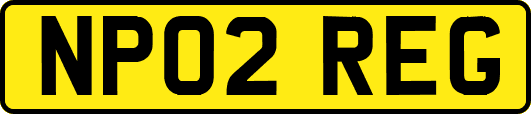 NP02REG