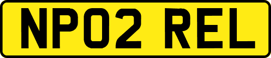 NP02REL