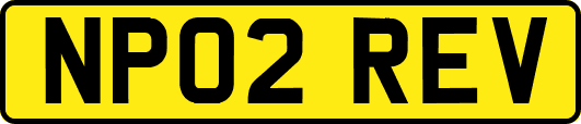 NP02REV