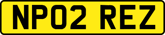 NP02REZ
