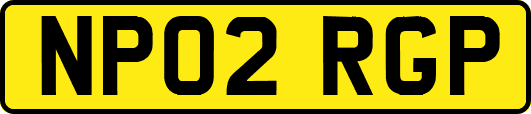 NP02RGP