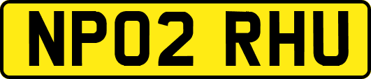 NP02RHU