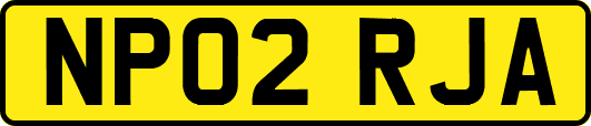NP02RJA