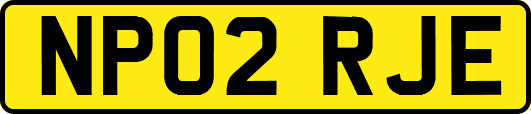 NP02RJE