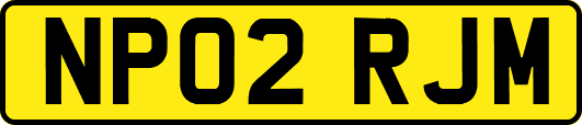 NP02RJM